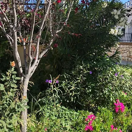 Apartment Didim'De Havuz,Deniz *